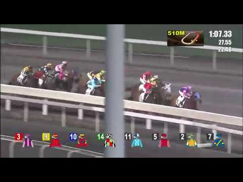 V.Borges 2ª vitória em Sha Tin