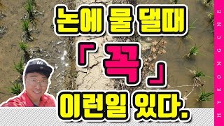 논에 물대기 이런일 꼭 있다. 수도작 벼농사 논두렁 새는 물