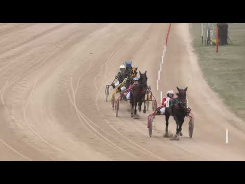 2018.03.24. 2. futam - PITYKE DÍJ