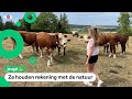 De familie van Geneviève maakt hun boerderij duurzamer