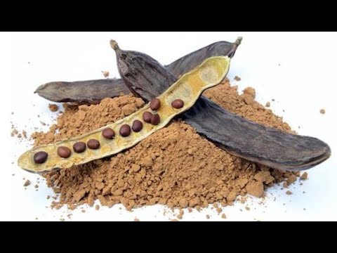 Carob: The Secret to Perfect Digestion and Controlled Sugar 2026 
