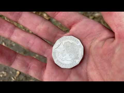 La Búsqueda-Alfredo Corona