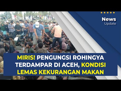 Pengungsi Rohingya Terdampar di Aceh