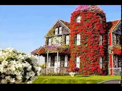 HOUSE  OF  FLOWERS  !