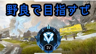 【APEX】何年ぶり？？