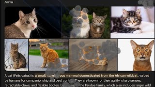 Google Cat easter egg￼
