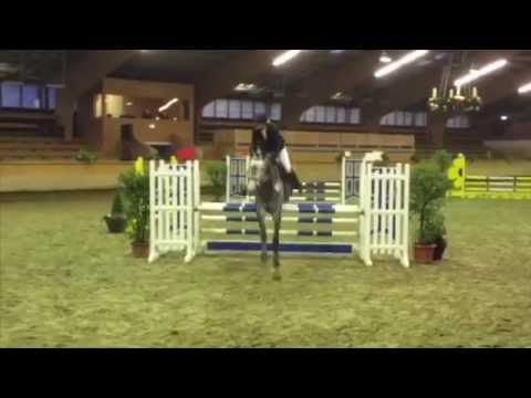 Priano-Popcorn mare * 2009 for sale