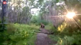 Смотреть онлайн Мужик пытается догнать медведей в лесу