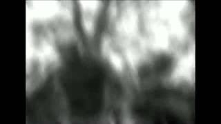 Canibus (ft Classic Pak) - Fight With The Champ (Official Video) Mayweather/Ortiz