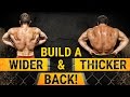 4 MUST DO Exercises For A BIGGER BACK! | WHY ARE YOU SKIPPING THESE MUSCLE BUILDERS?