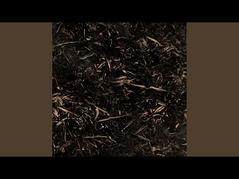 Ants6 (feat. Arthrn)