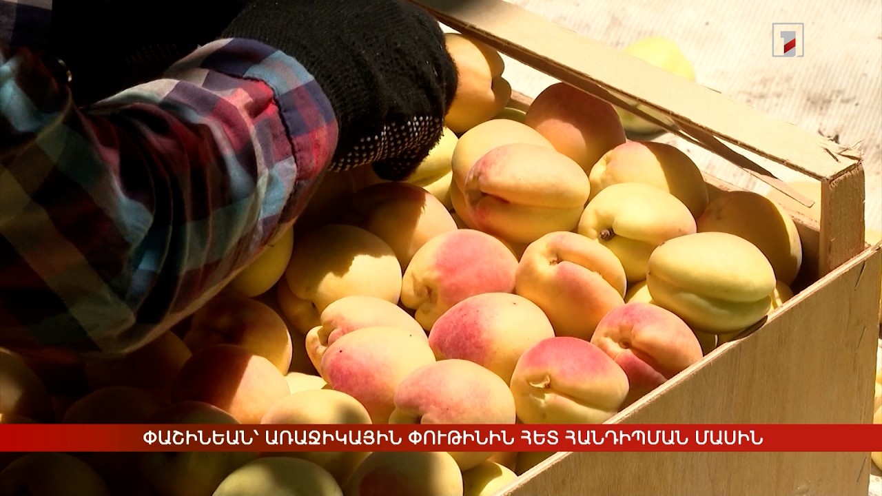 Արևմտահայերէն լուրեր. Յունիս 30.2026