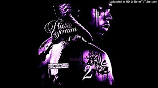 Plies - Take Risk Slowed Down
