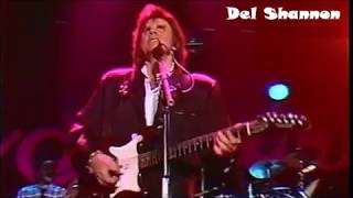 Del Shannon - I Go To Pieces -1989
