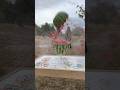 Omg I Ve Never Seen This Before Rubber Bands Exploded The Watermelon