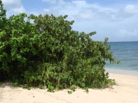 MIKE GROSVENOR ~ Let Me Be Your Friend