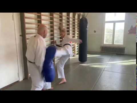 Treenivinkki - Mawashigeri