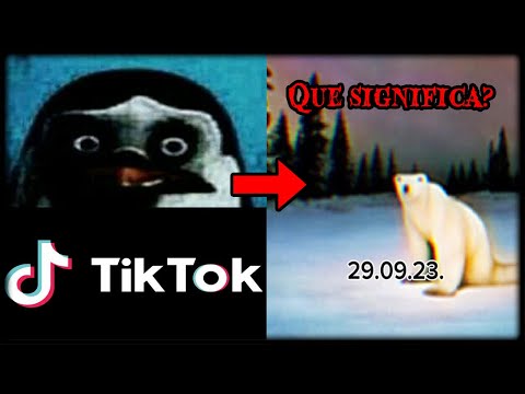 Is this TikTok account very shady? - 09/29/23