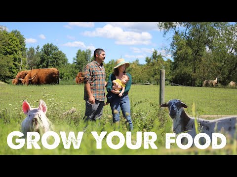 A DAY IN THE LIFE  RAISING 177 FARM ANIMALS for FOOD HOMESTEADING