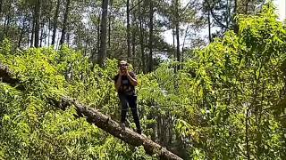 Download lagu Status Wa Untuk Yang Sulit Bayar Hutang mp3 Download lagu Status Wa Untuk Yang Sulit Bayar Hutang mp3