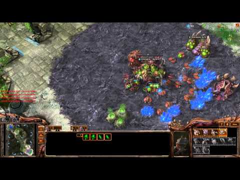Starcraft 2: Heart of the Swarm Part 9