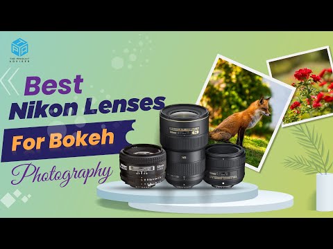 10 Best Nikon Lenses For Bokeh 2023 - Best Lens For Blurred Background Nikon Reviews