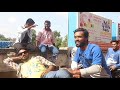 Pachtauge Song