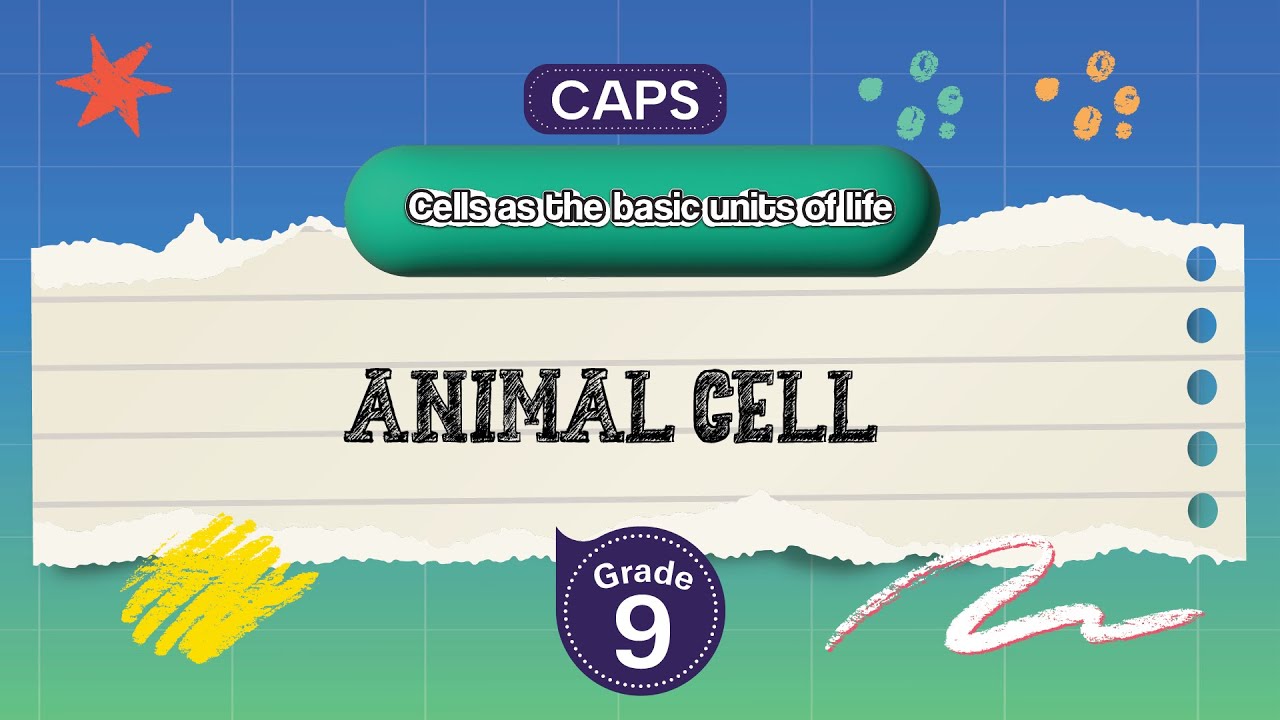 [GRADE 9] Animal cell