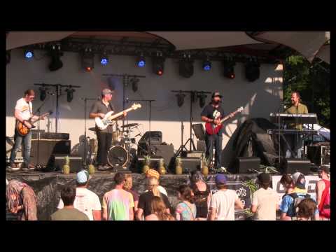 The Heavy Pets at Disc Jam Music Festival