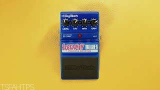 Another OVERLOOKED Gem...?? DigiTech Screamin' Blues Overdrive/Distortion