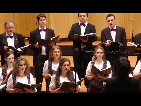 07 Crucii Tale - Gavriil Musicescu