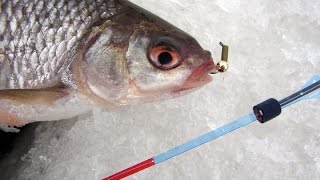 Ловля на мормышки без насадок