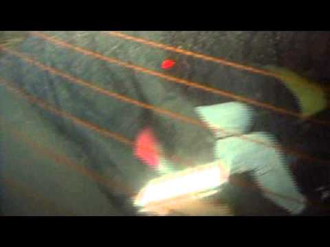 Știre Etv - Accidentul... face bani!