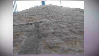 22_Cedric Yong Jin Wei_1E3