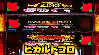 ハナハナシリーズのハイビスカスが咲くトコロの動画