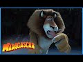 DreamWorks Madagascar Arrive On The Island Madagascar Movie Clip