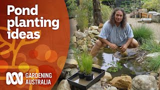 How to add aquatic plants to your pond | Garden Design and Inspiration | Gardening Australia