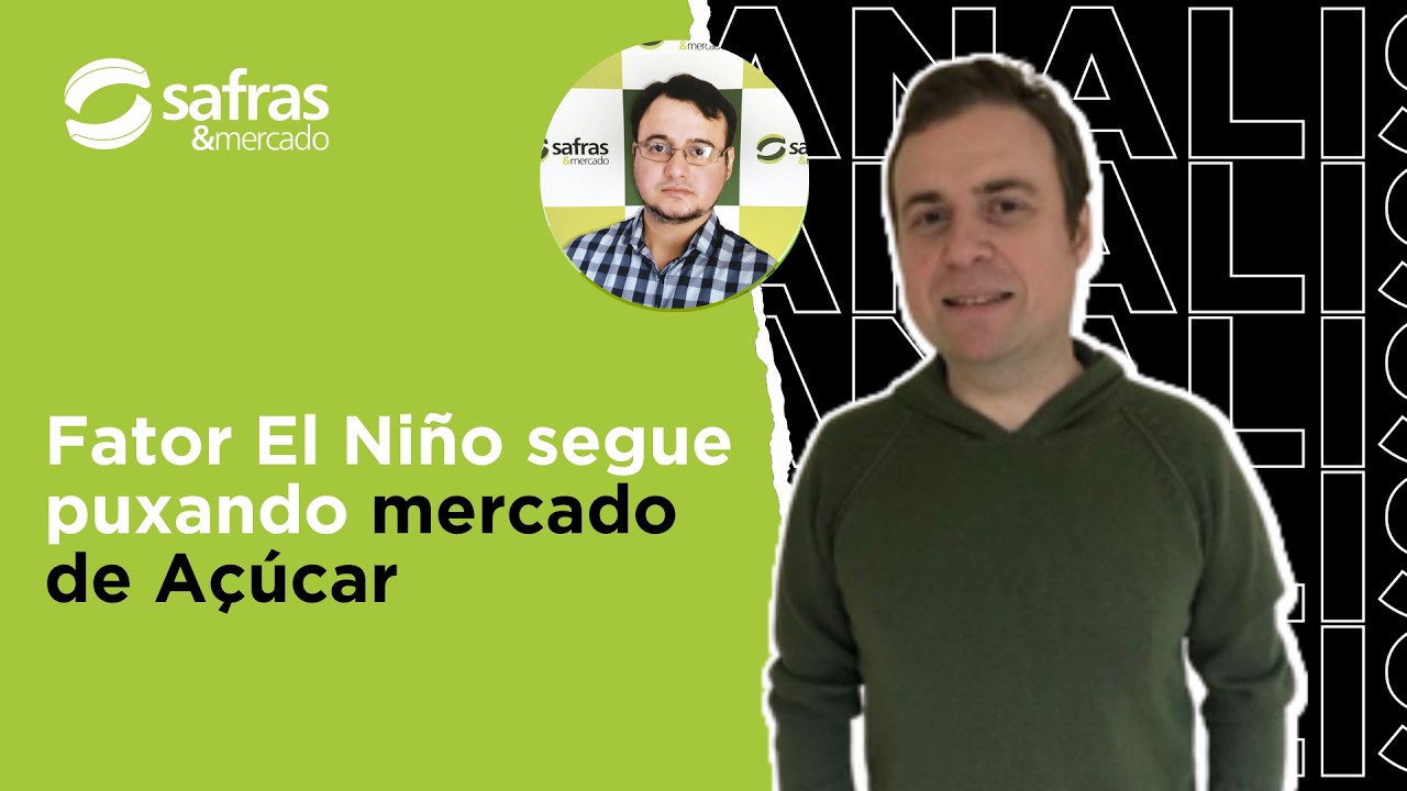 El Niño continua dando sustentação para mercado de açúcar