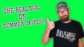 5 Things to Expect When Targeting BIG Summer Catfish