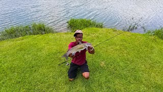 SOLO Catfish CATCH AND COOK At The Lake !!