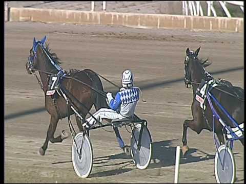 Trotto 17/03/2017 - 2ª corsa