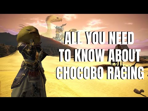 The Complete Beginner's Guide to FFXIV Chocobo Racing (5.55 2021)