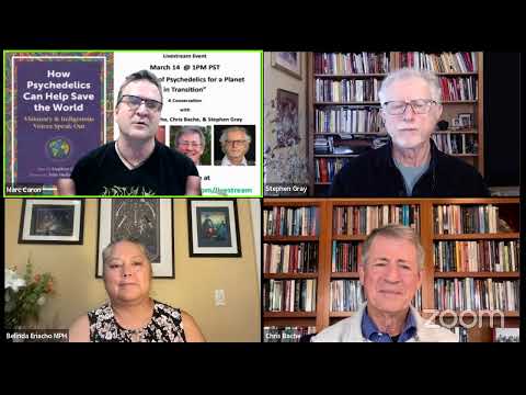 How Psychedelics can Help Change the World