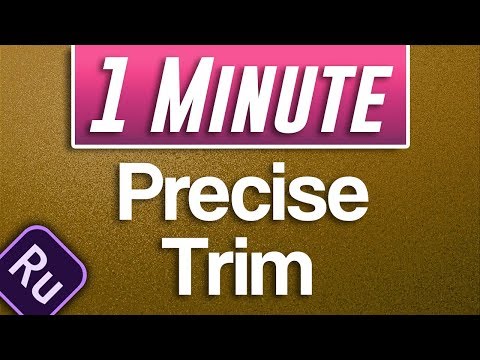 Premiere Rush CC How to Mute Part of Audio