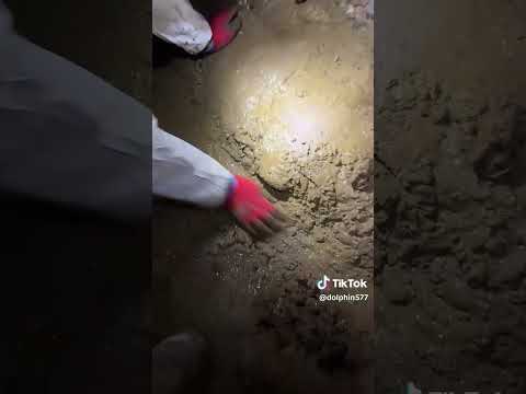Crawl Space Encapsulation with Delfino and Crew - Mount Vernon, WA