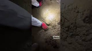 Watch video: Crawl Space Encapsulation with Delfino and Crew - Mount Vernon, WA
