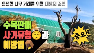 나무 거래시 사기 방지 팁, 나무판매시 안전거래를 원하신다면 꼭 보셔야할 영상 | 나무대장
