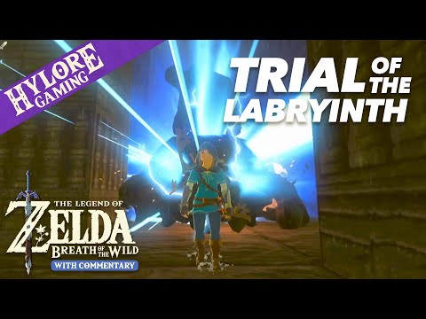 Destroying Every Guardian Walker and Skywatcher ~ Breath of the Wild Walkthrough w/Commentary