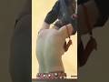 Hot Girl Video Xvideo Indian Girl Hotgirl Webseries