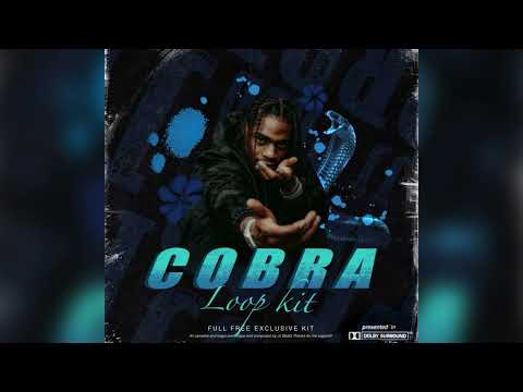 FREE DRILL SAMPLE PACK / LOOP KIT "COBRA" (Vocal, Dark, Ethnic)